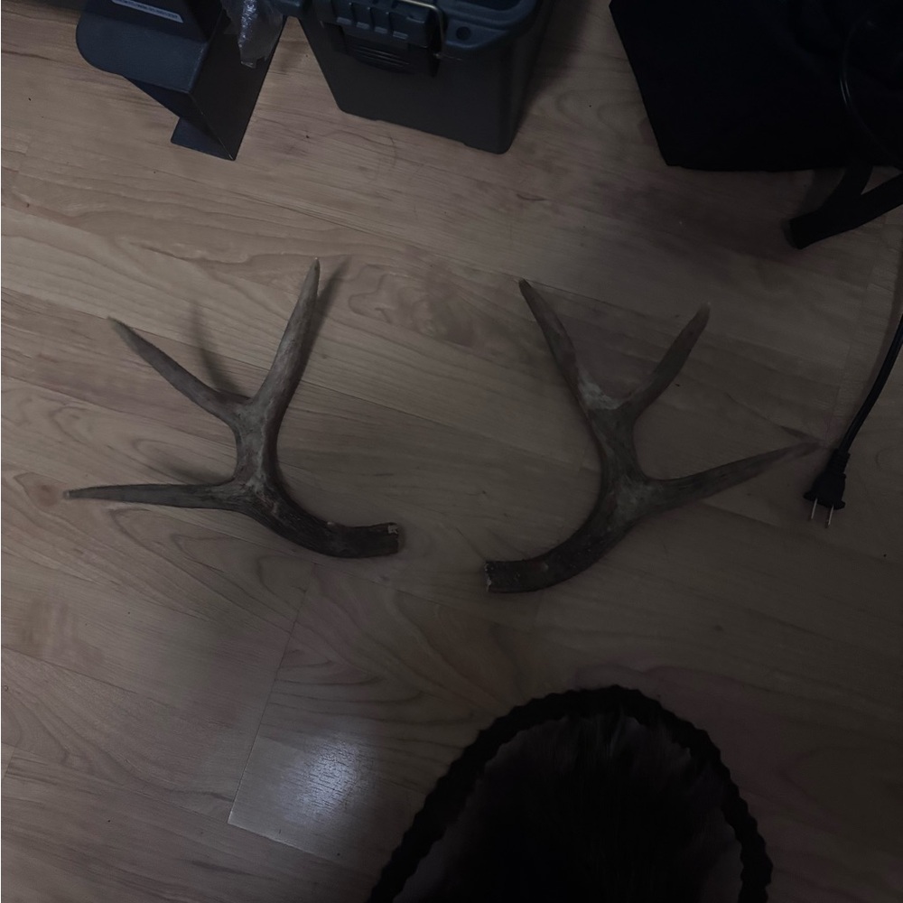 Real Rustic Brown Antler Decor